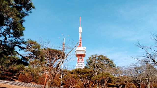 全国の賃貸オフィス・賃貸事務所の家賃（坪単価）相場【栃木県】