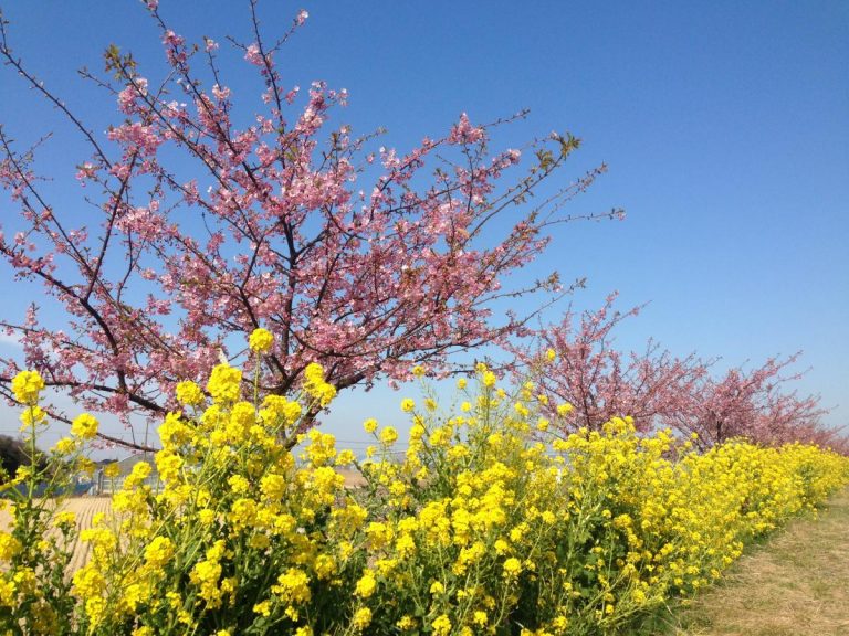 愛知県の市別賃貸オフィス・賃貸事務所の家賃（坪単価）相場【田原市】