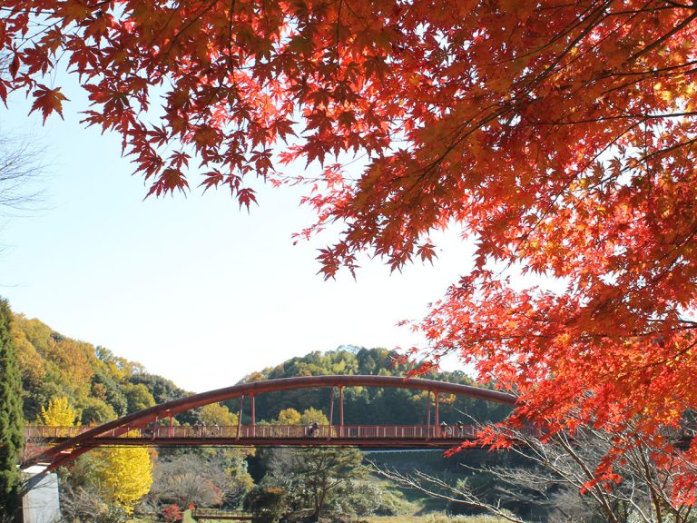 愛知県の市別賃貸オフィス・賃貸事務所の家賃（坪単価）相場【豊田市】